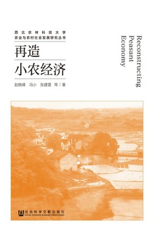 再造小农经济