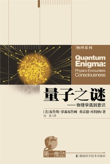 第一推动丛书·物理系列:量子之谜