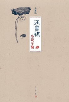 汪曾祺小说全编(下卷)