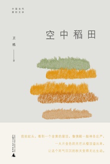 空中稻田