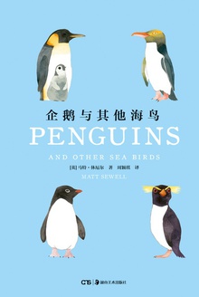 企鹅与其他海鸟
