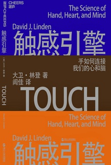触感引擎