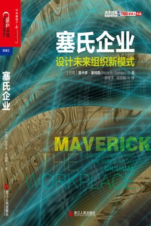 塞氏企业:设计未来组织新模式