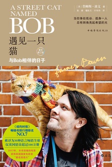 遇见一只猫