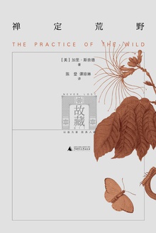 禅定荒野