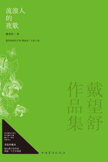 流浪人的夜歌