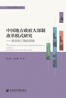 中国地方政府大部制改革模式研究