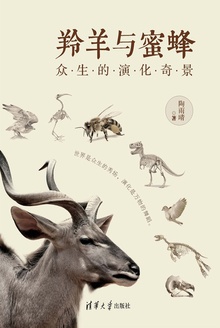 羚羊与蜜蜂:众生的演化奇景