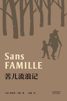 苦儿流浪记
