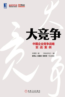 大竞争:中国企业竞争战略实战案例