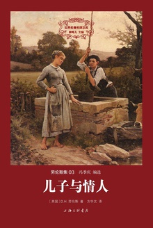 儿子与情人