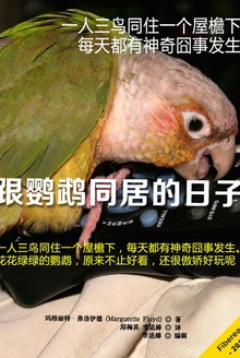 ͬӵ