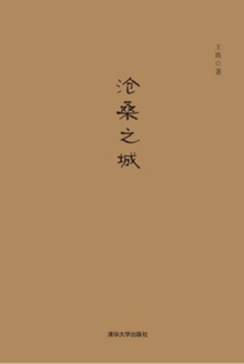 沧桑之城