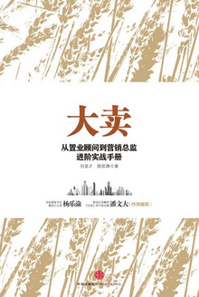 大卖:从置业顾问到营销总监进阶实战手册